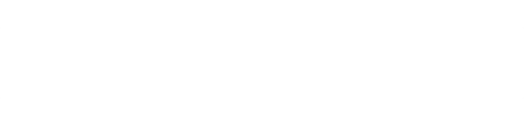 Fedessa Logo