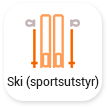 Ski (sportsutstyr) 